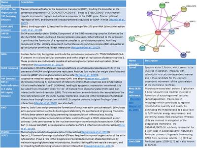 ADNP Regulates Cognition: A Multitasking Protein